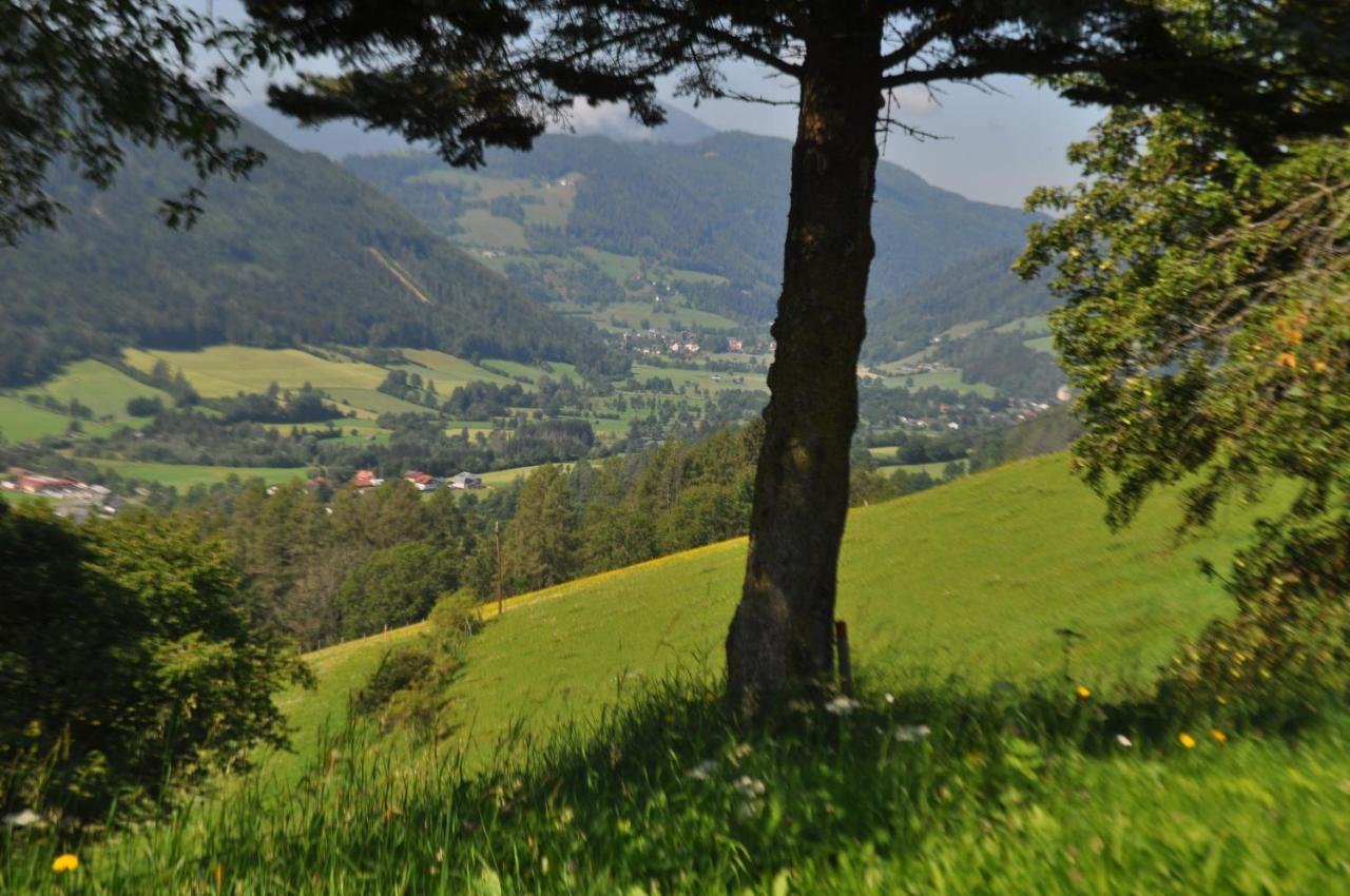 Fruhstuckspension Bischof i d Wiesen Sankt Peter am Kammersberg Exterior foto
