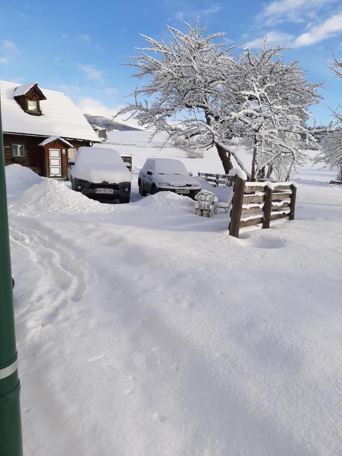 Bed and Breakfast Fruhstuckspension Bischof i d Wiesen Sankt Peter am Kammersberg Exterior foto