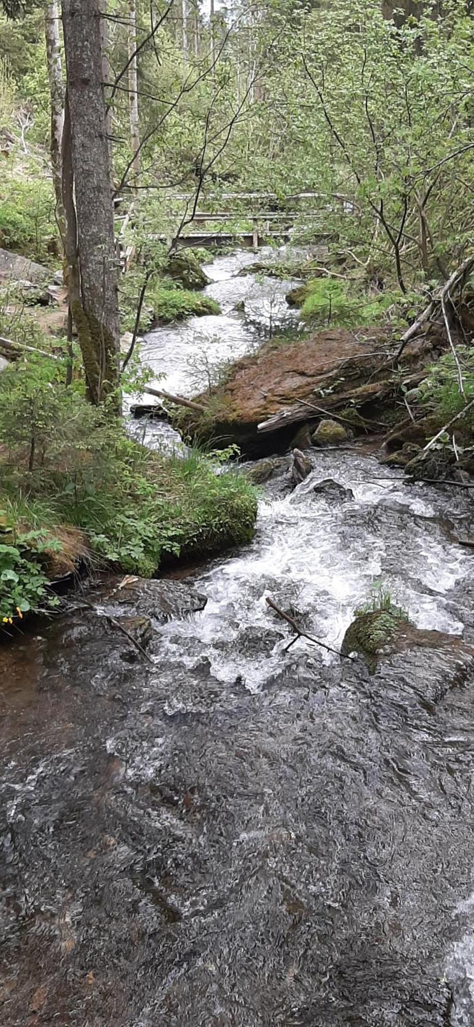 Fruhstuckspension Bischof i d Wiesen Sankt Peter am Kammersberg Exterior foto